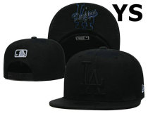 MLB Los Angeles Dodgers Snapback Hat (317)