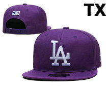 MLB Los Angeles Dodgers Snapback Hat (308)