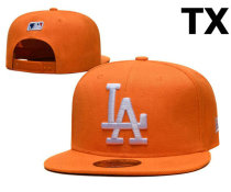 MLB Los Angeles Dodgers Snapback Hat (313)
