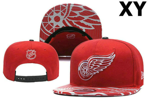 NHL Detroit Red Wings Snapback Hat (28)