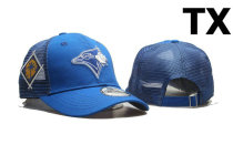 MLB Toronto Blue Jays Snapback Hat (102)