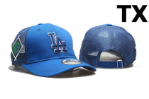 MLB Los Angeles Dodgers Snapback Hat (319)