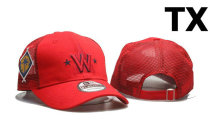 MLB Washington Nationals Snapback Hat (55)