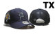 MLB Detroit Tigers Snapback Hat (60)