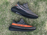 Authentic Y 350 V2 Carbel/Stegry/Solred