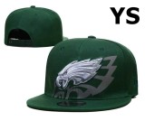 NFL Philadelphia Eagles Snapback Hat (257)