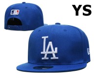 MLB Los Angeles Dodgers Snapback Hat (325)