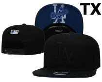 MLB Los Angeles Dodgers Snapback Hat (329)