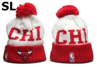 NBA Chicago Bulls Beanies (79)