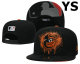 MLB Baltimore Orioles Snapback Hat (55)