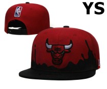 NBA Chicago Bulls Snapback Hat (1323)