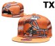 NFL Cleveland Browns Snapback Hat (52)