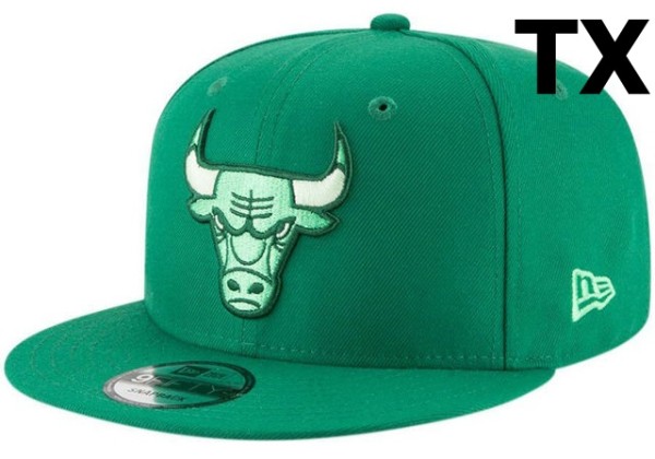 NBA Chicago Bulls Snapback Hat (1320)