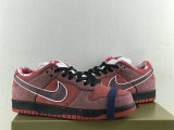 Authentic Nike SB Dunk Low “Red Lobster”