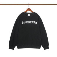 Burberry Hoodies M-XXXL (50)