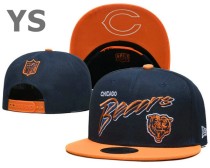 NFL Chicago Bears Snapback Hat (157)