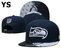 NFL Seattle Seahawks Snapback Hat (333)