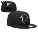 NFL Atlanta Falcons Snapback Hat (339)