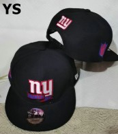 NFL New York Giants Snapback Hat (174)