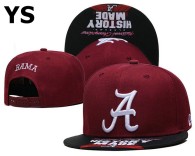 NCAA Alabama Crimson Tide Snapback Hat (44)
