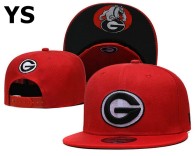 NCAA Florida Gators Snapback Hat (22)