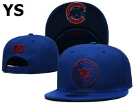 MLB Chicago Cubs Snapback Hat (49)