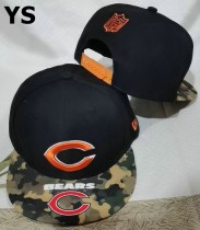NFL Chicago Bears Snapback Hat (158)