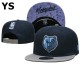 NBA Memphis Grizzlies Snapback Hat (48)
