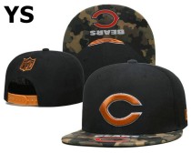 NFL Chicago Bears Snapback Hat (159)