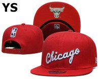 NBA Chicago Bulls Snapback Hat (1331)