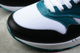 Nike Air Max 1 Shoes (37)
