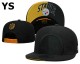 NFL Pittsburgh Steelers Snapback Hat (308)