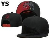 NFL Arizona Cardinals Snapback Hat (97)