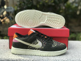 Authentic Nike Dunk Low “Rainbow Trout”
