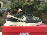 Authentic Nike Dunk Low “Rainbow Trout”