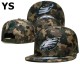 NFL Philadelphia Eagles Snapback Hat (263)