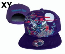 NBA Charlotte Hornets Snapback Hat (97)
