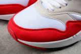 Nike Air Max 1 Shoes (45)
