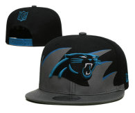 NFL Carolina Panthers Snapback Hat (221)