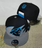 NFL Carolina Panthers Snapback Hat (222)