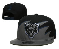 NFL Chicago Bears Snapback Hat (162)