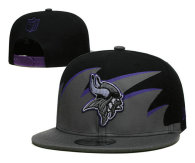 NFL Minnesota Vikings Snapback Hat (81)