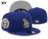 Los Angeles Dodgers hat (72)