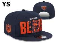 NFL Chicago Bears Snapback Hat (164)