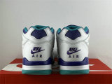Authentic Nike Air Flight 89 Blue/Purple/White