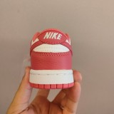 Nike SB Dunk Kid Shoes (16)