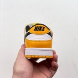 Nike SB Dunk Kid Shoes (23)