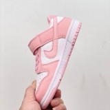 Nike SB Dunk Kid Shoes (19)