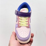 Nike SB Dunk Kid Shoes (17)