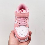 Nike SB Dunk Kid Shoes (19)